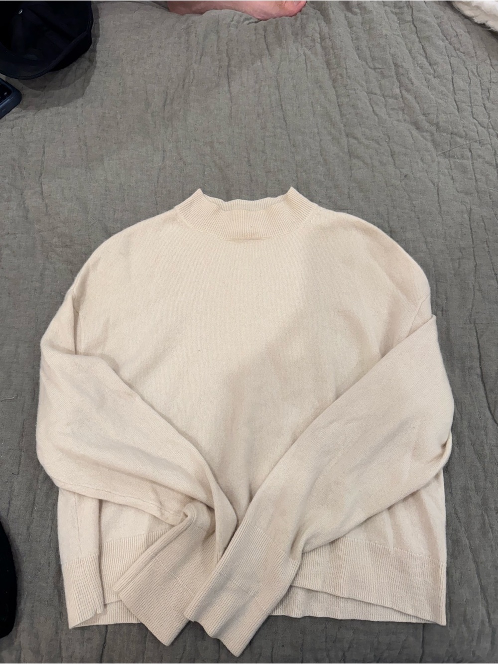 Everlane 100% Cashmere Cream Mock Neck Sweater
